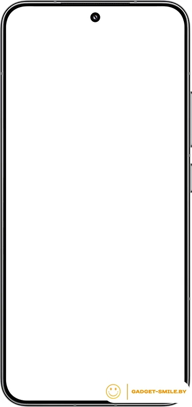 Смартфон Xiaomi 15 12GB/256GB международная версия (серебристый)