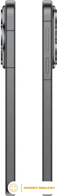 Huawei Pura 80 HED-LX9 12GB/256GB Черный