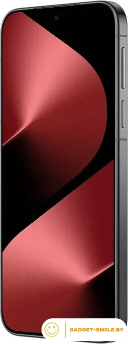 Huawei Pura 80 HED-LX9 12GB/256GB Черный