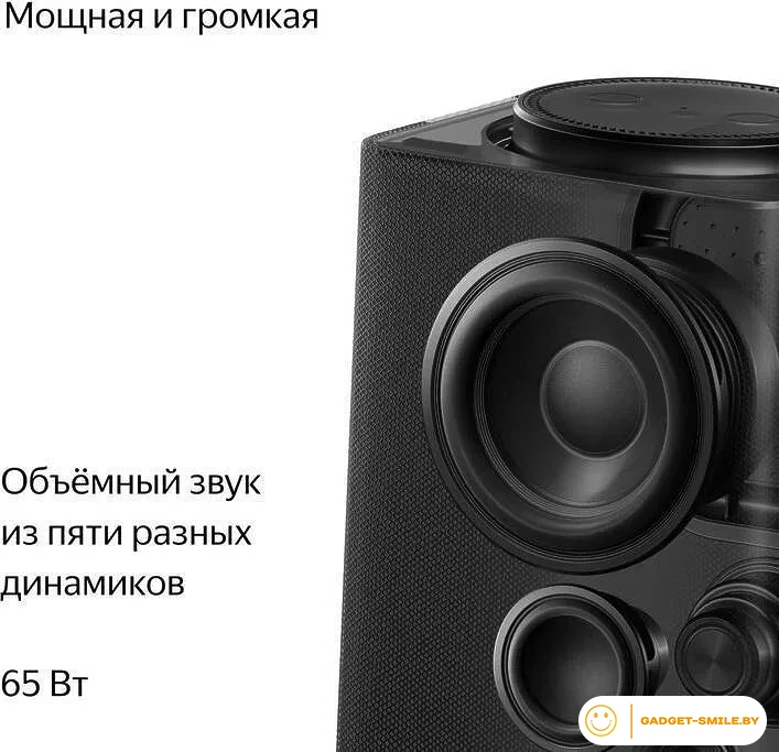 Умная колонка Яндекс Станция Макс (с хабом умного дома Zigbee, графит)