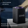 Умная колонка Яндекс Станция Макс (с хабом умного дома Zigbee, графит)