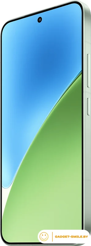 Смартфон Xiaomi 15 12GB/256GB международная версия (зеленый)