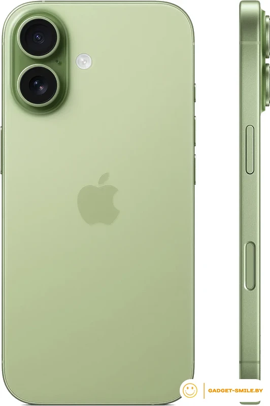 Apple iPhone 17 Dual eSIM 256GB Зеленый