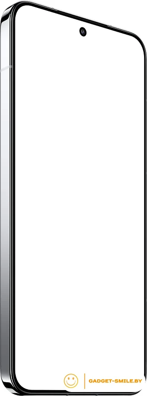 Смартфон Xiaomi 15 12GB/256GB международная версия (серебристый)