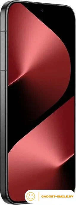 Huawei Pura 80 HED-LX9 12GB/256GB Черный