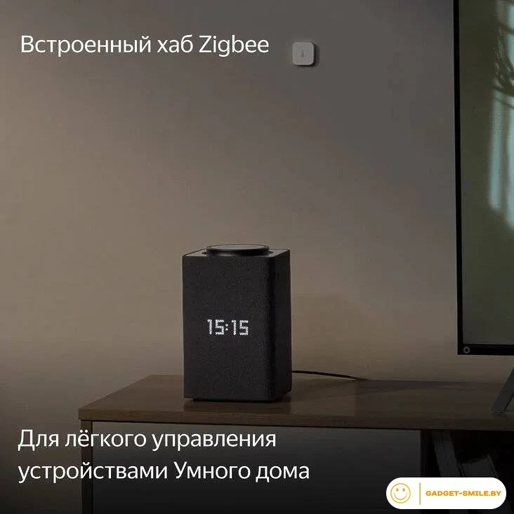 Умная колонка Яндекс Станция Макс (с хабом умного дома Zigbee, графит)