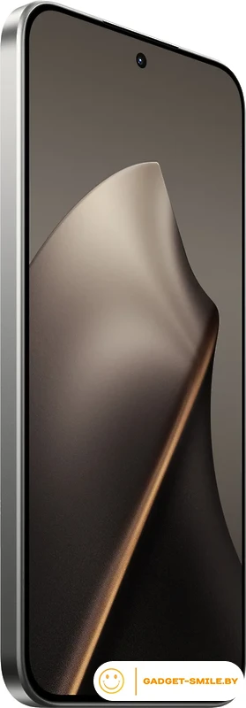 Телефон Xiaomi 15T 12GB/512GB международная версия (серый)