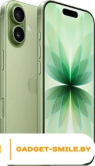 Apple iPhone 17 Dual eSIM 256GB Зеленый