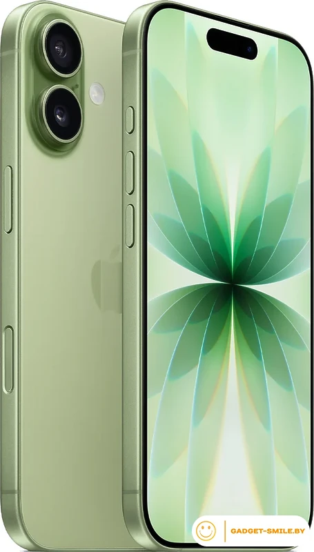 Apple iPhone 17 Dual eSIM 256GB Зеленый
