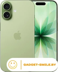 Apple iPhone 17 Dual eSIM 256GB Зеленый