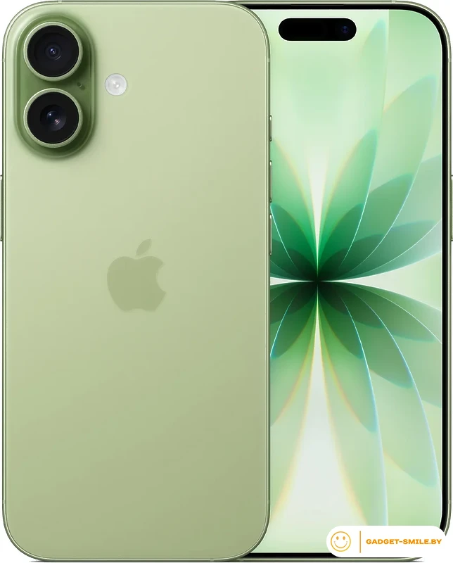 Apple iPhone 17 Dual eSIM 256GB Зеленый