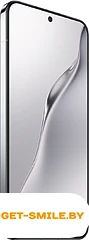 Смартфон Xiaomi 15 12GB/512GB международная версия (серебристый)