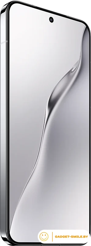 Смартфон Xiaomi 15 12GB/256GB международная версия (серебристый)