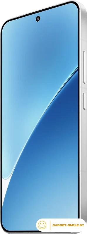 Смартфон Xiaomi 15 12GB/256GB международная версия (белый)