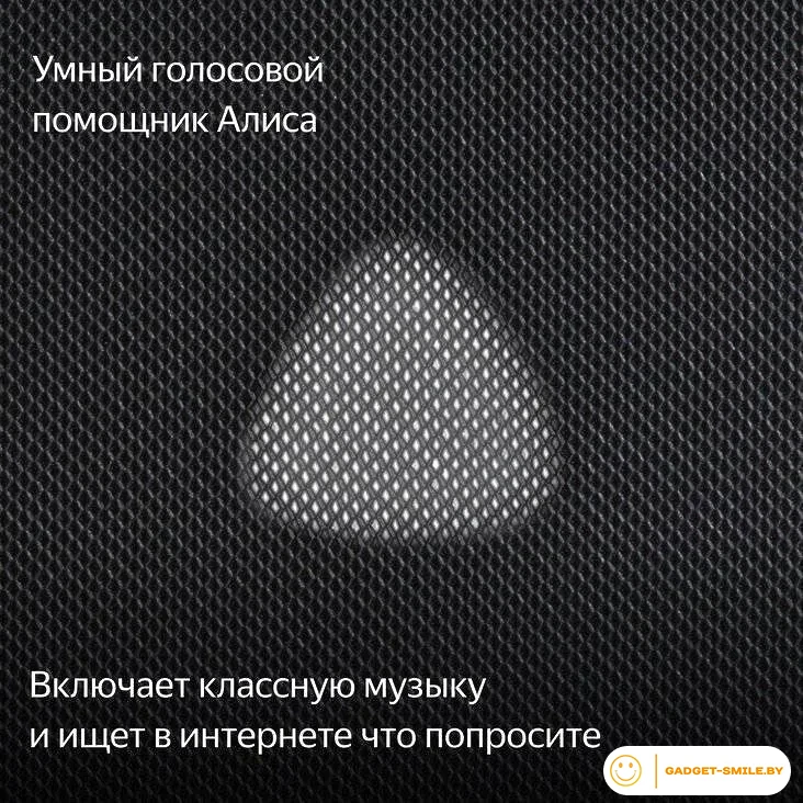 Умная колонка Яндекс Станция Макс (с хабом умного дома Zigbee, графит)