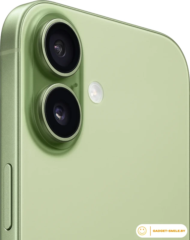 Apple iPhone 17 Dual eSIM 256GB Зеленый