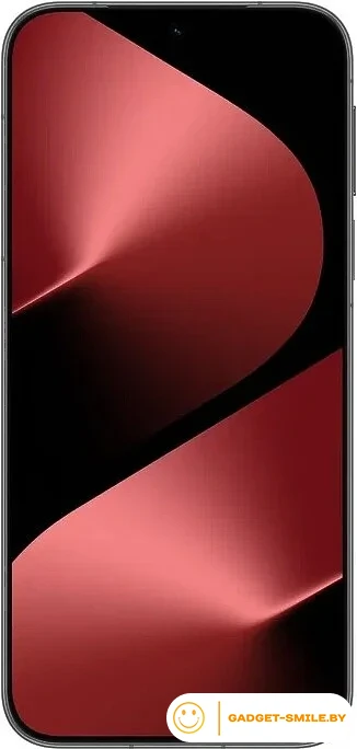 Huawei Pura 80 HED-LX9 12GB/256GB Черный