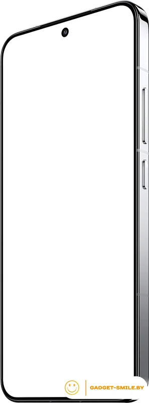 Смартфон Xiaomi 15 12GB/256GB международная версия (серебристый)