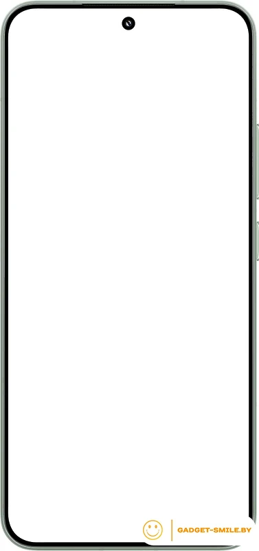Смартфон Xiaomi 15 12GB/256GB международная версия (зеленый)