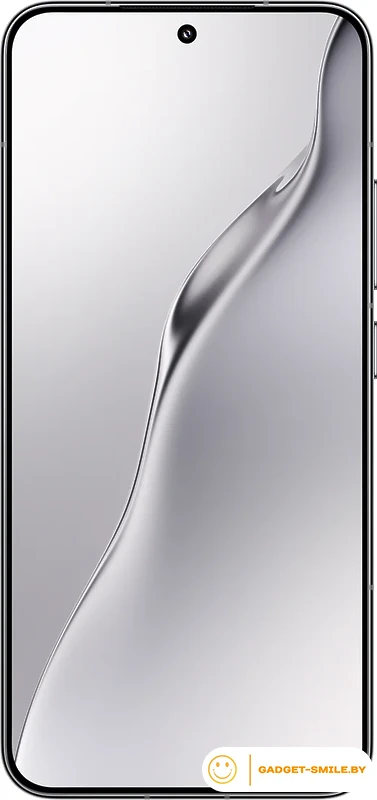 Смартфон Xiaomi 15 12GB/256GB международная версия (серебристый)