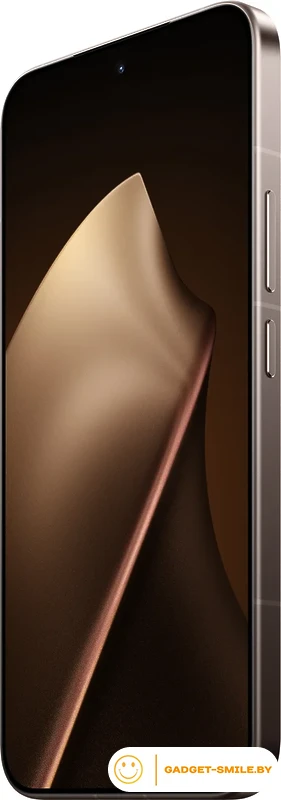 Телефон Xiaomi 15T Pro 12GB/1TB международная версия (золотистый мокко)
