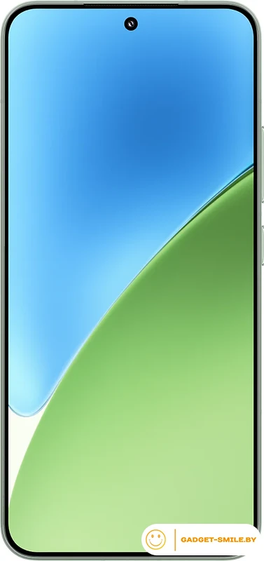 Смартфон Xiaomi 15 12GB/256GB международная версия (зеленый)