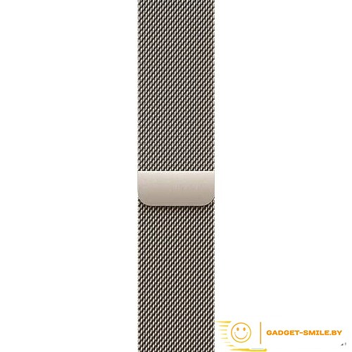 Apple Watch Series 10 GPS + Cellular 46mm Natural Titanium Case with Natural Milanese Loop - M/L (MWYC3)