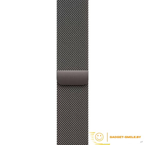 Apple Watch Series 10 GPS + Cellular 46mm Slate Titanium Case with Slate Milanese Loop - M/L (MWYW3)