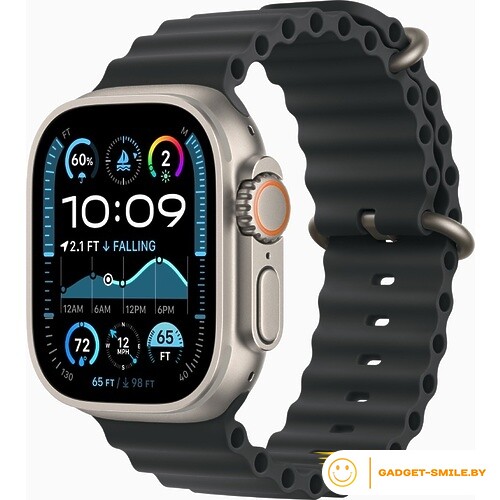 Apple Watch Ultra 2 2024 GPS + Cellular 49mm Natural Titanium Case with Black Ocean Band (MXTL3)