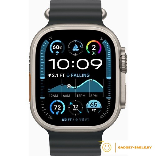 Apple Watch Ultra 2 2024 GPS + Cellular 49mm Natural Titanium Case with Black Ocean Band (MXTL3)