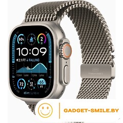 Apple Watch Ultra 2 2024 GPS + Cellular 49mm Natural Titanium Case with Natural Titanium Milanese Loop - L (MX5T3)