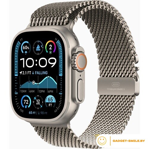 Apple Watch Ultra 2 2024 GPS + Cellular 49mm Natural Titanium Case with Natural Titanium Milanese Loop - M (MX5R3)
