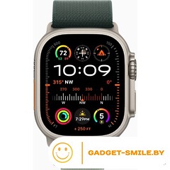 Apple Watch Ultra 2 2024 GPS + Cellular 49mm Natural Titanium Case with Dark Green Alpine Loop - L (MXMW3)