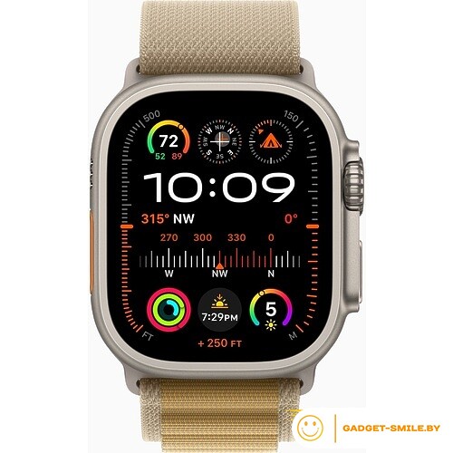 Apple Watch Ultra 2 2024 GPS + Cellular 49mm Natural Titanium Case with Tan Alpine Loop - L (MX4H3)