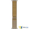 Apple Watch Ultra 2 2024 GPS + Cellular 49mm Natural Titanium Case with Tan Alpine Loop - M (MX4F3)