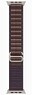 Apple Watch Ultra 2 GPS + Cellular 49мм Titanium Case with Indigo Alpine Loop