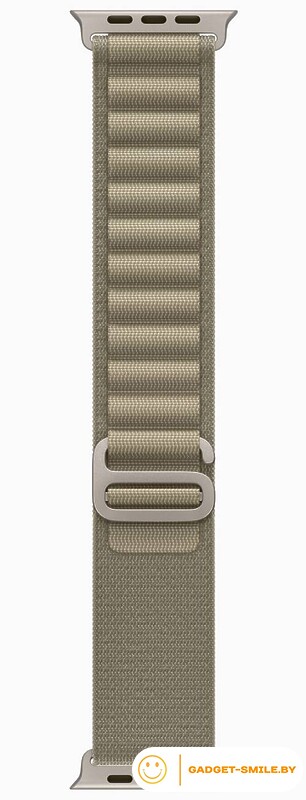 Apple Watch Ultra 2 GPS + Cellular 49мм Titanium Case with Olive Alpine Loop