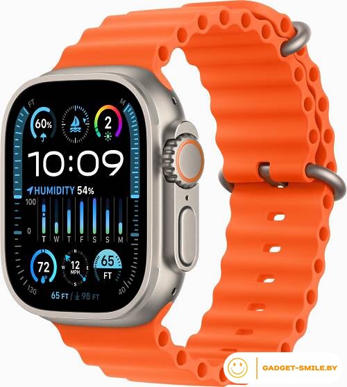Apple Watch Ultra 2 GPS + Cellular 49мм Titanium Case with Orange Ocean Band (One Size)