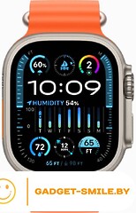 Apple Watch Ultra 2 GPS + Cellular 49мм Titanium Case with Orange Ocean Band (One Size)