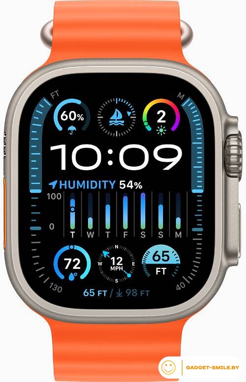 Apple Watch Ultra 2 GPS + Cellular 49мм Titanium Case with Orange Ocean Band (One Size)