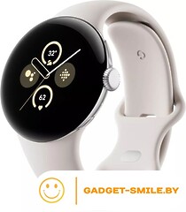 Google Pixel Watch 2 LTE (глянцевый серебристый/фарфор)