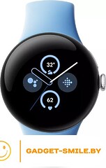 Google Pixel Watch 2 LTE (глянцевый серебристый/залив)