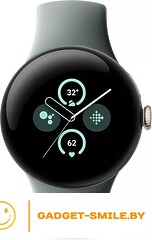Google Pixel Watch 2 LTE (золотистый шампань/лесной орех)