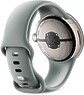 Google Pixel Watch 2 (золотистый шампань/лесной орех)
