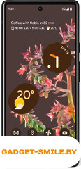 Google Pixel 6 Pro 12GB/256GB Черный