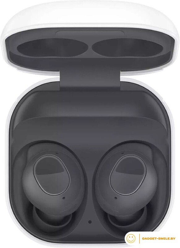 Наушники Samsung Galaxy Buds FE Графитовый