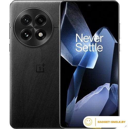 OnePlus 13 12GB/256GB Обсидиан