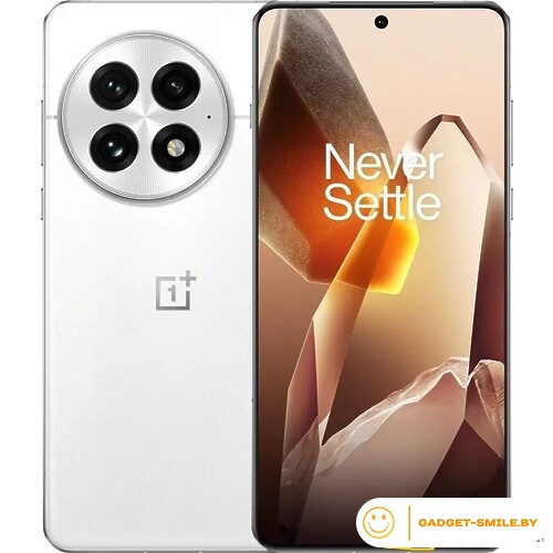 OnePlus 13 12GB/256GB Белый