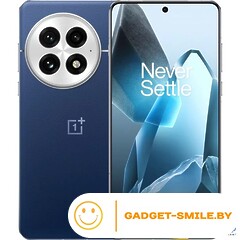 OnePlus 13 16GB/512GB Синий