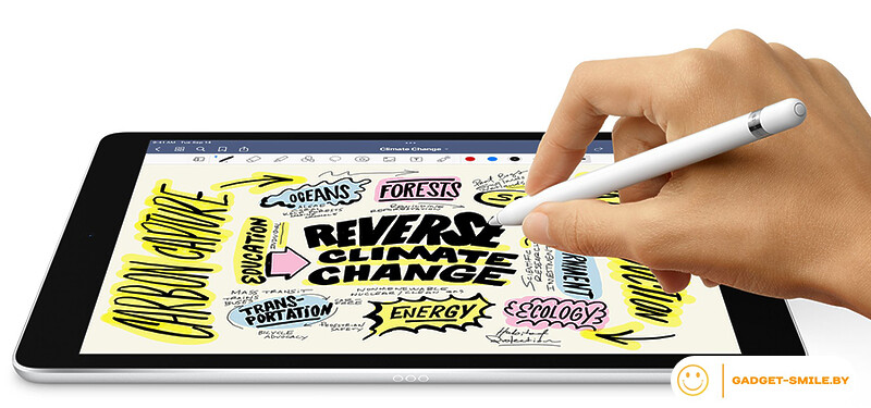 Планшет Apple iPad 10.2 2021 256GB Wi-Fi Серый